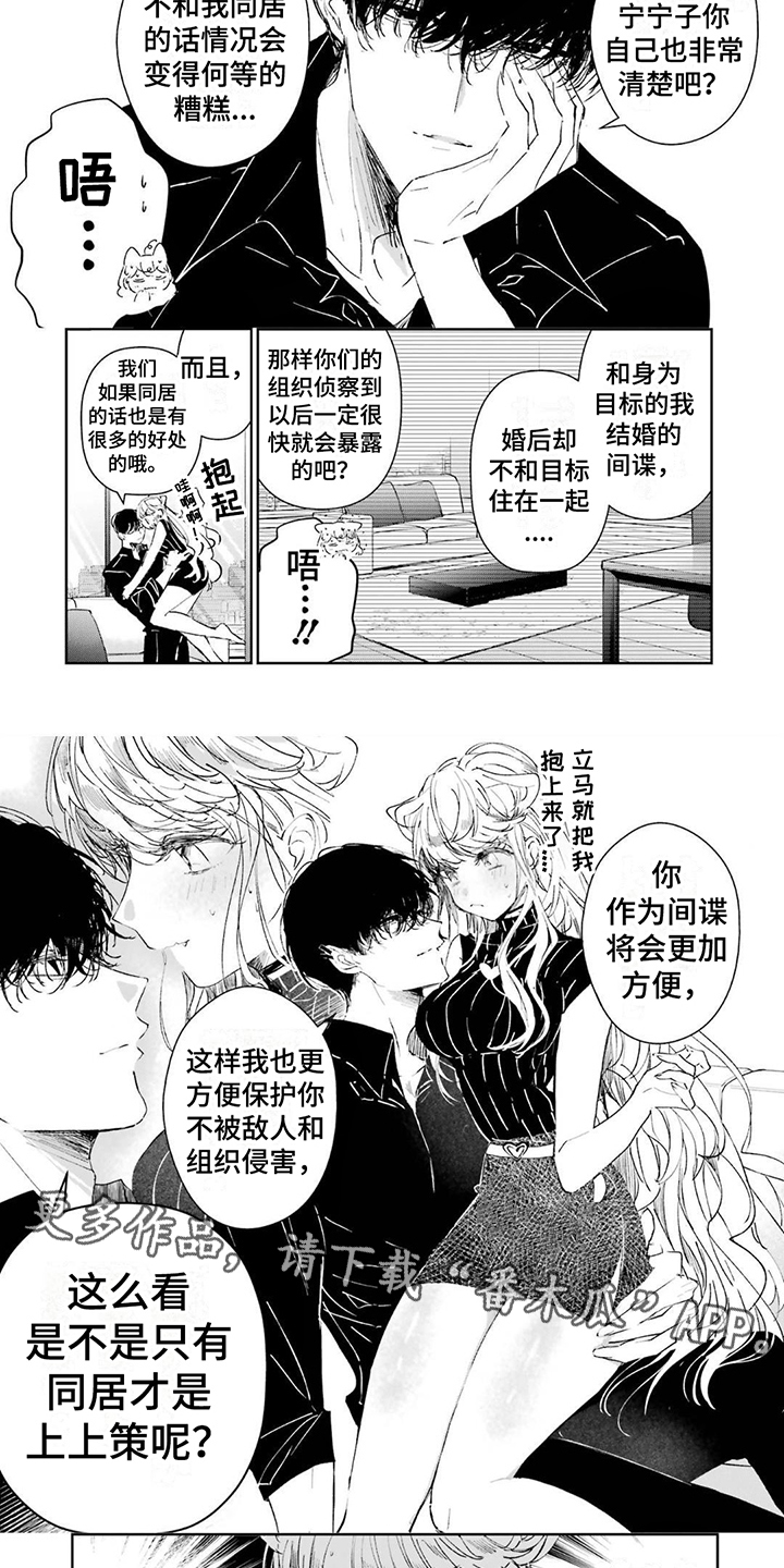 第6章：暗中观察1