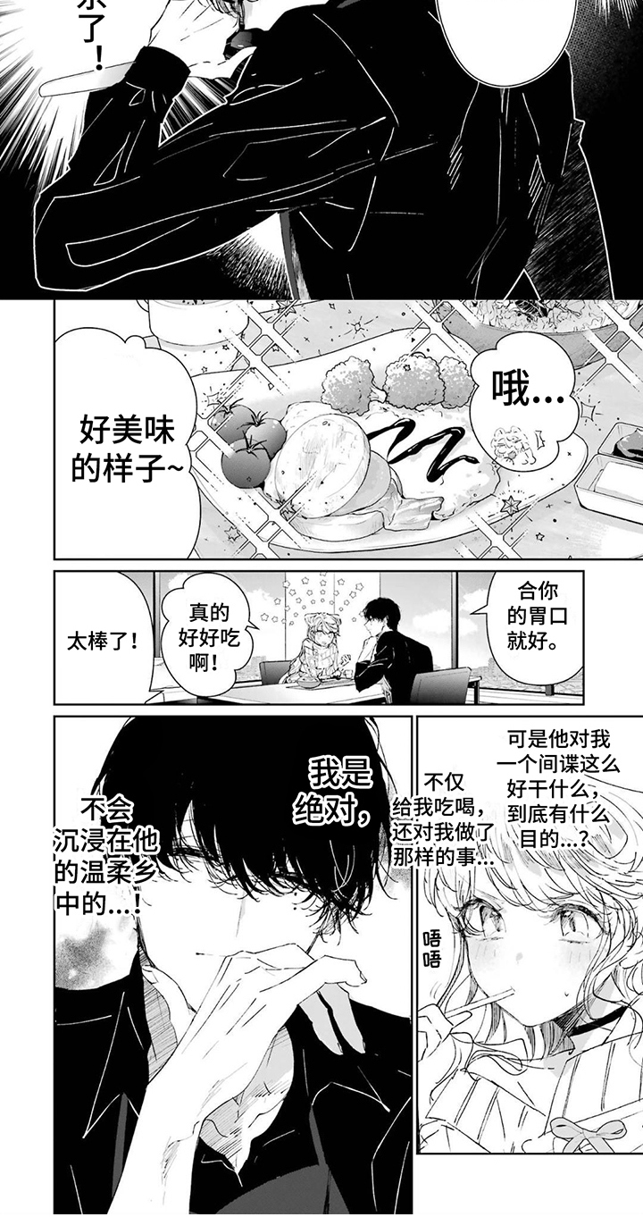 第1章：刺客与间谍6