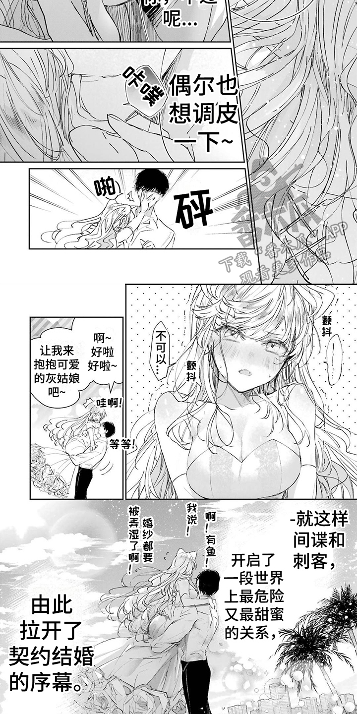 第5章：灰姑娘6