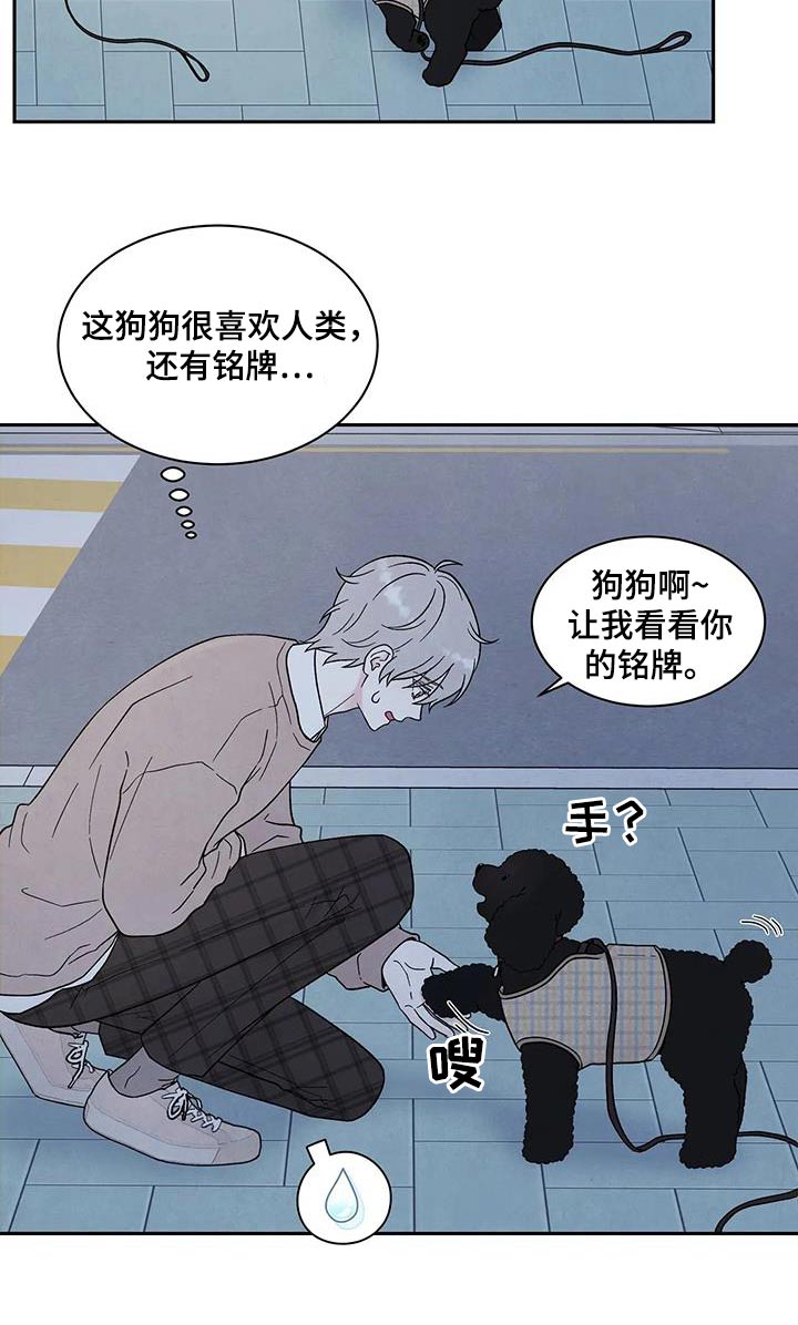 第43章：散步8