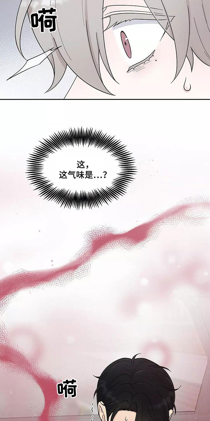 第37章：气味22