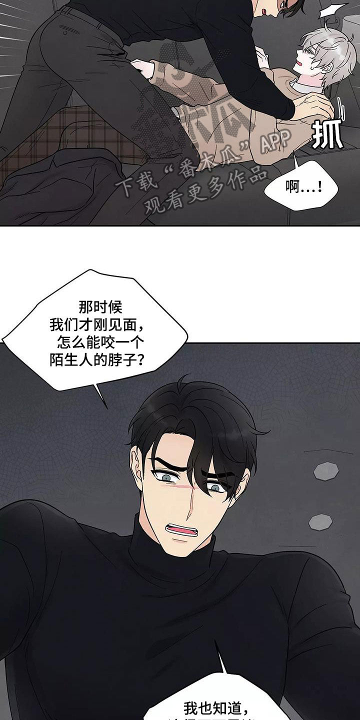 第37章：气味10