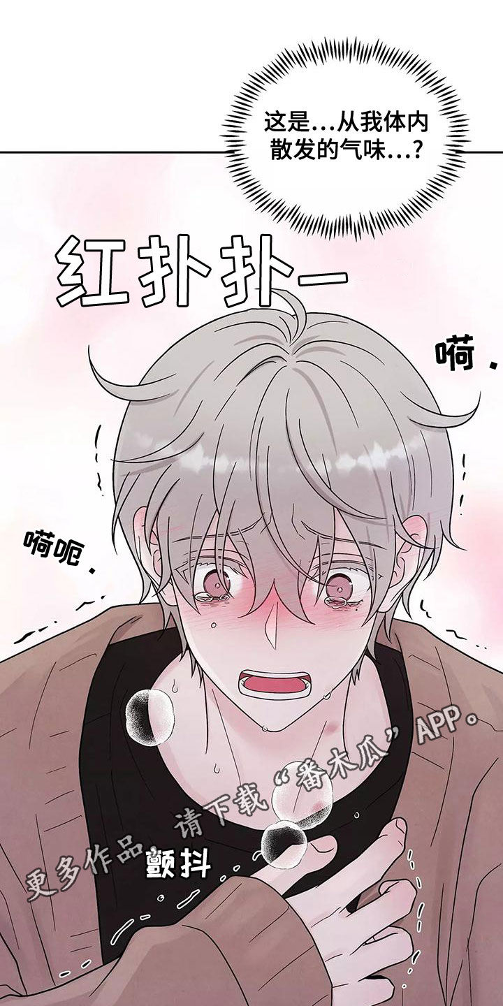 第18章：发烧0