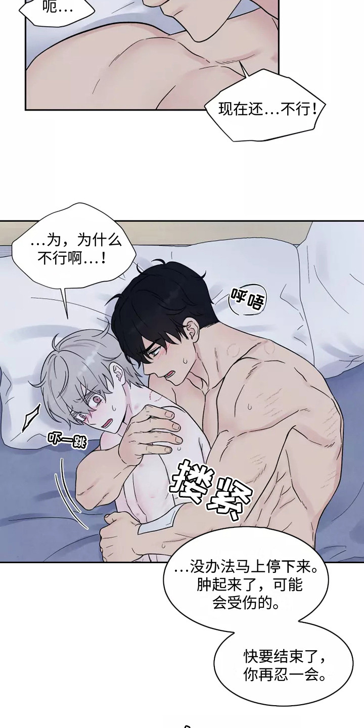 第11章：疼痛10
