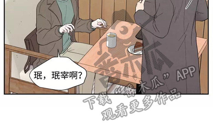 第7章：出主意19