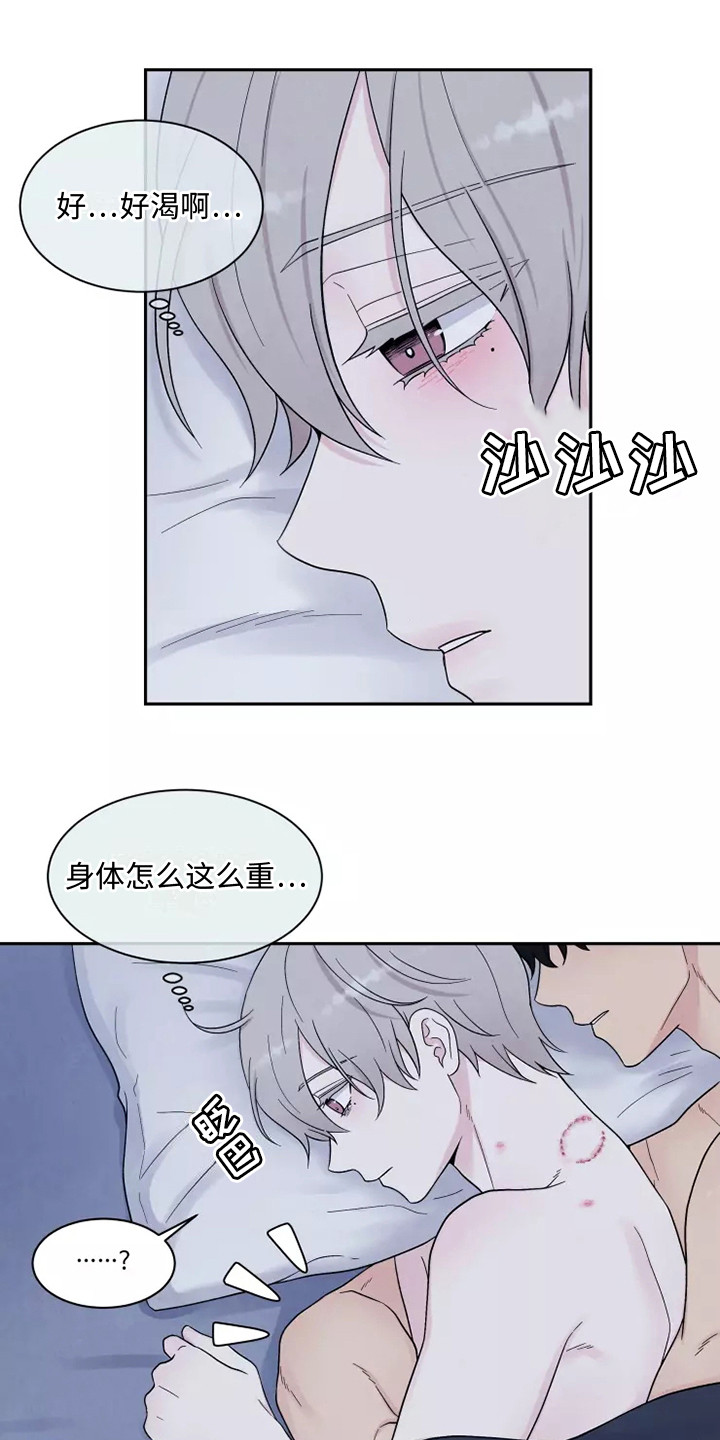 第11章：疼痛0