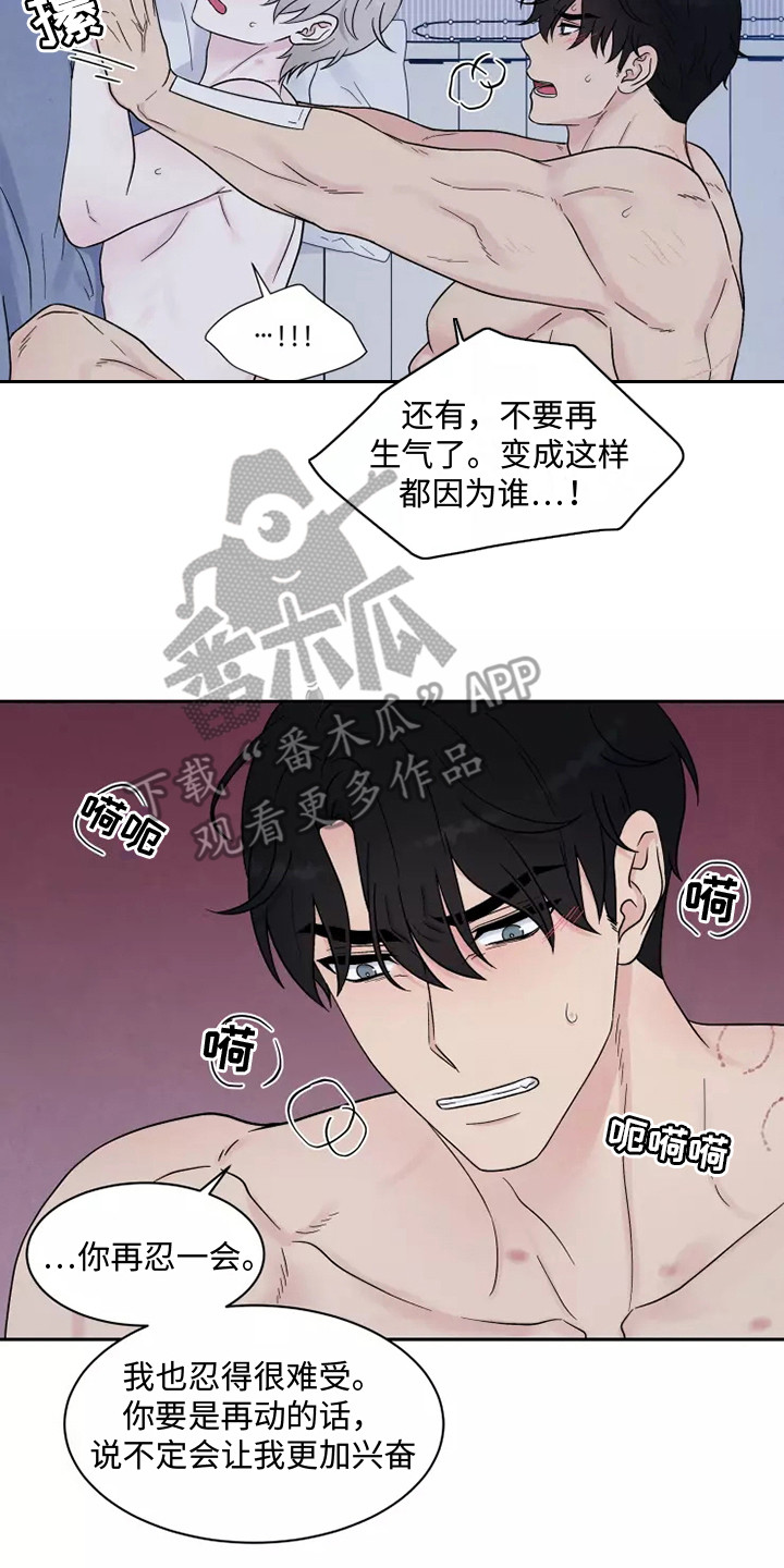 第11章：疼痛15