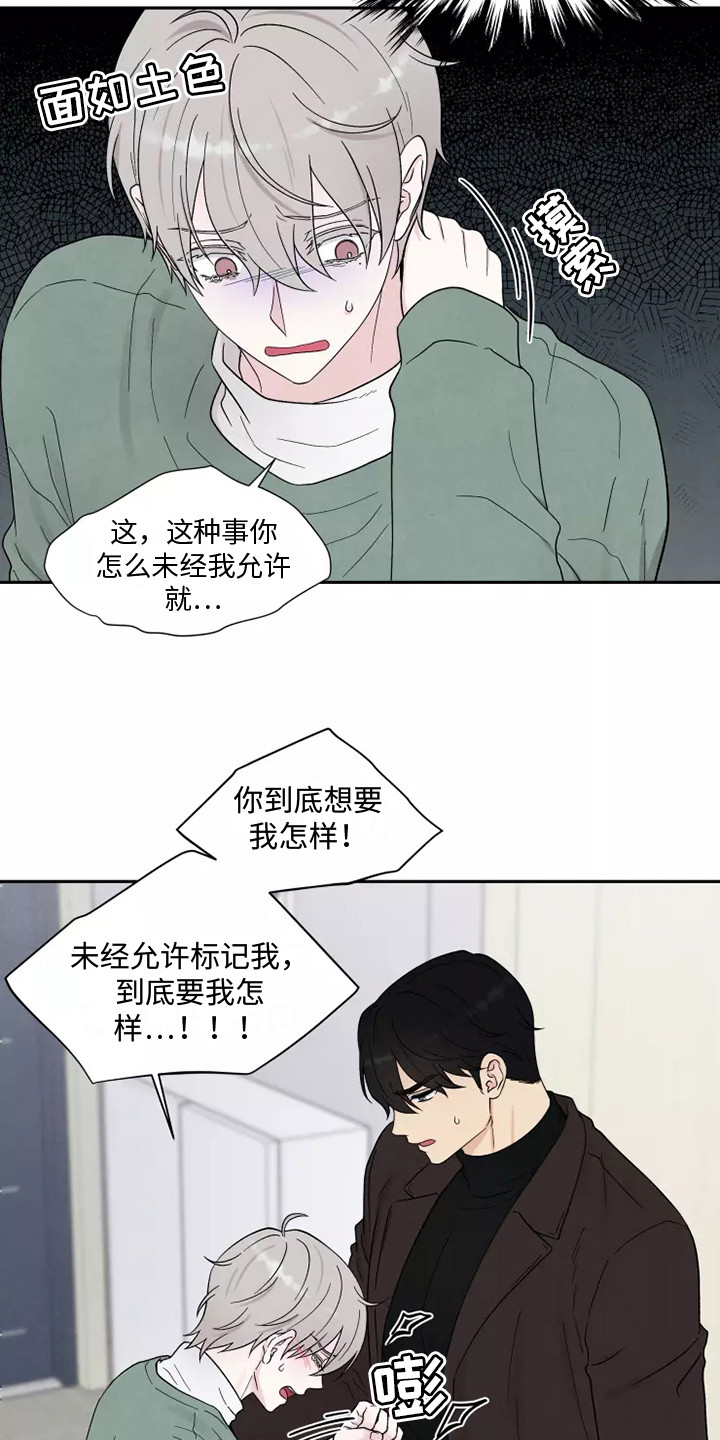 第9章：标记11