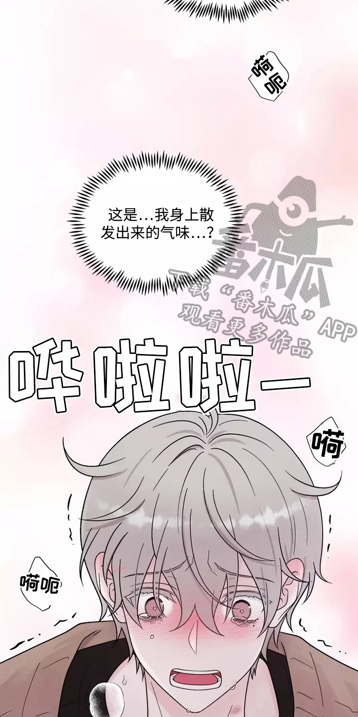 第17章：不孕19