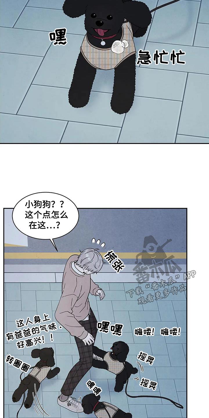 第43章：散步7