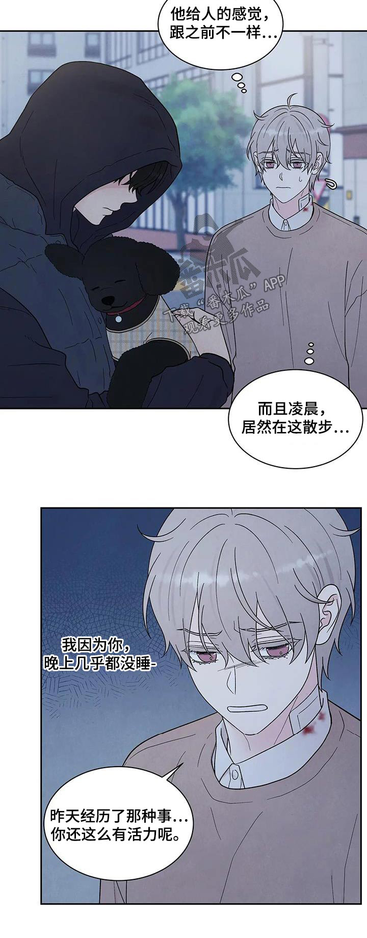 第43章：散步19