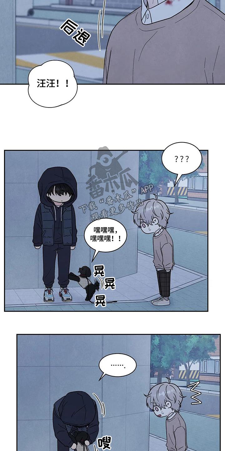 第43章：散步15