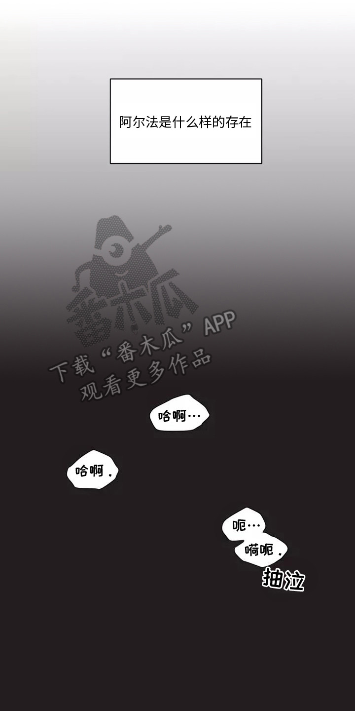 第11章：疼痛18