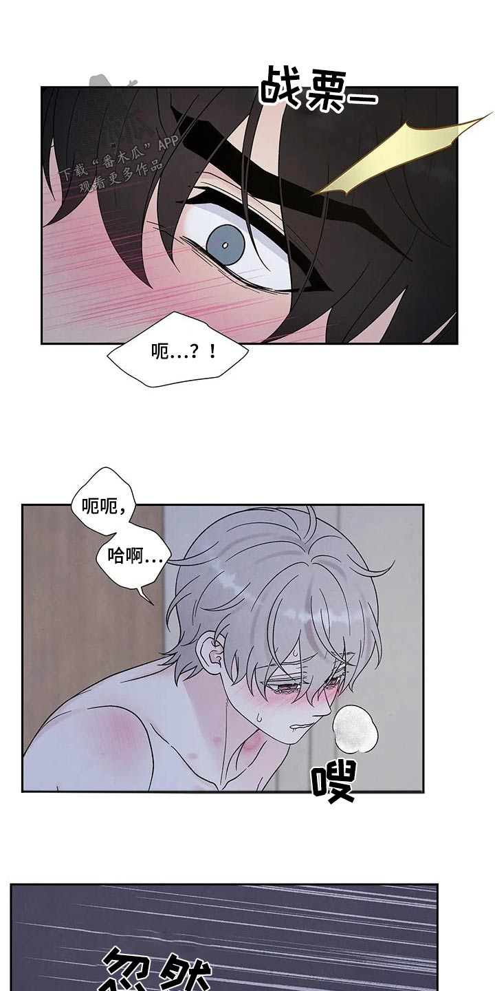 第52章：发热5