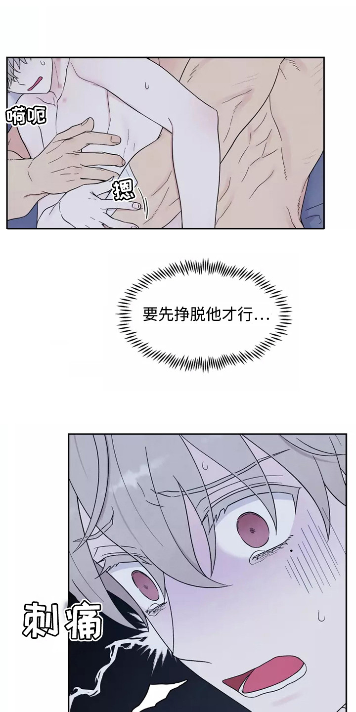 第11章：疼痛3