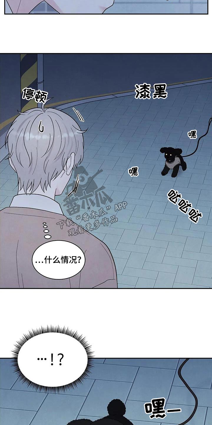第43章：散步6