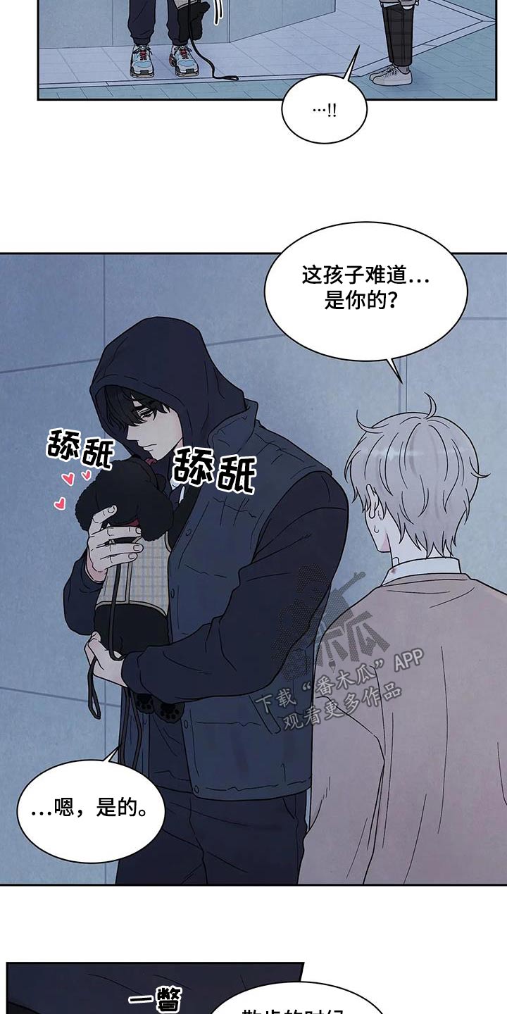 第43章：散步16