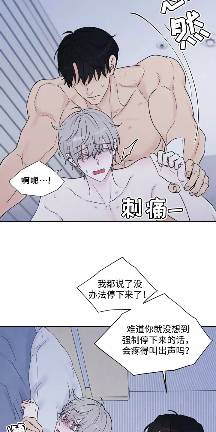 第11章：疼痛14