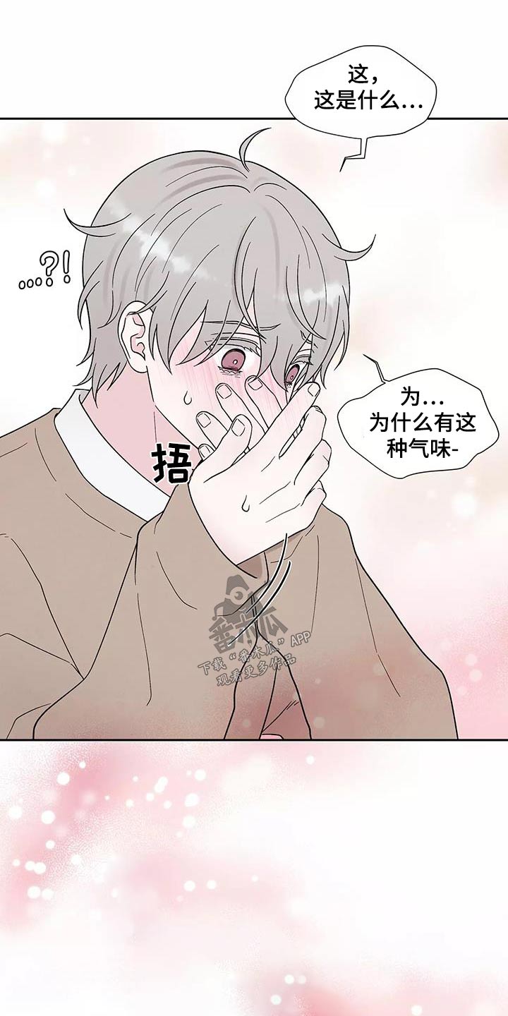 第40章：跟我回去6