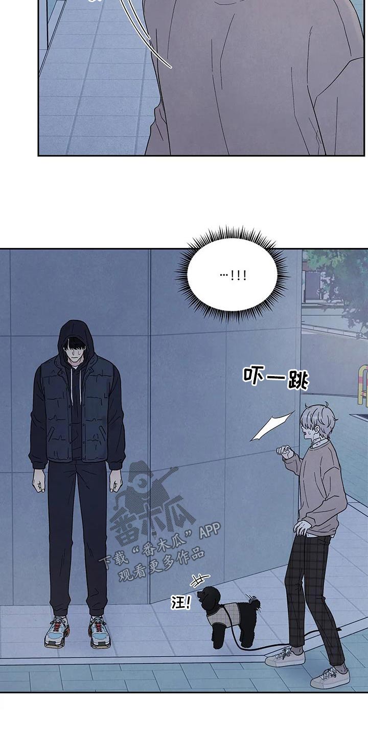 第43章：散步13