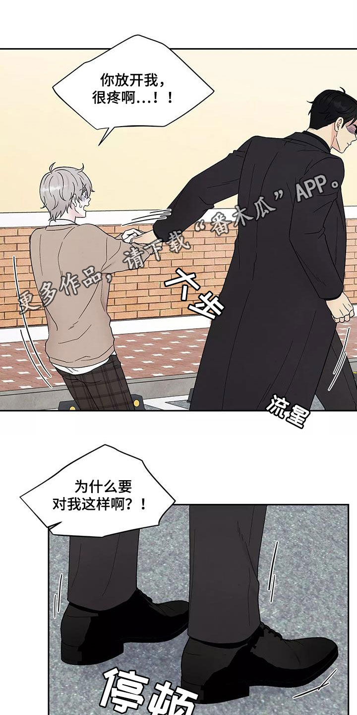 第37章：气味0