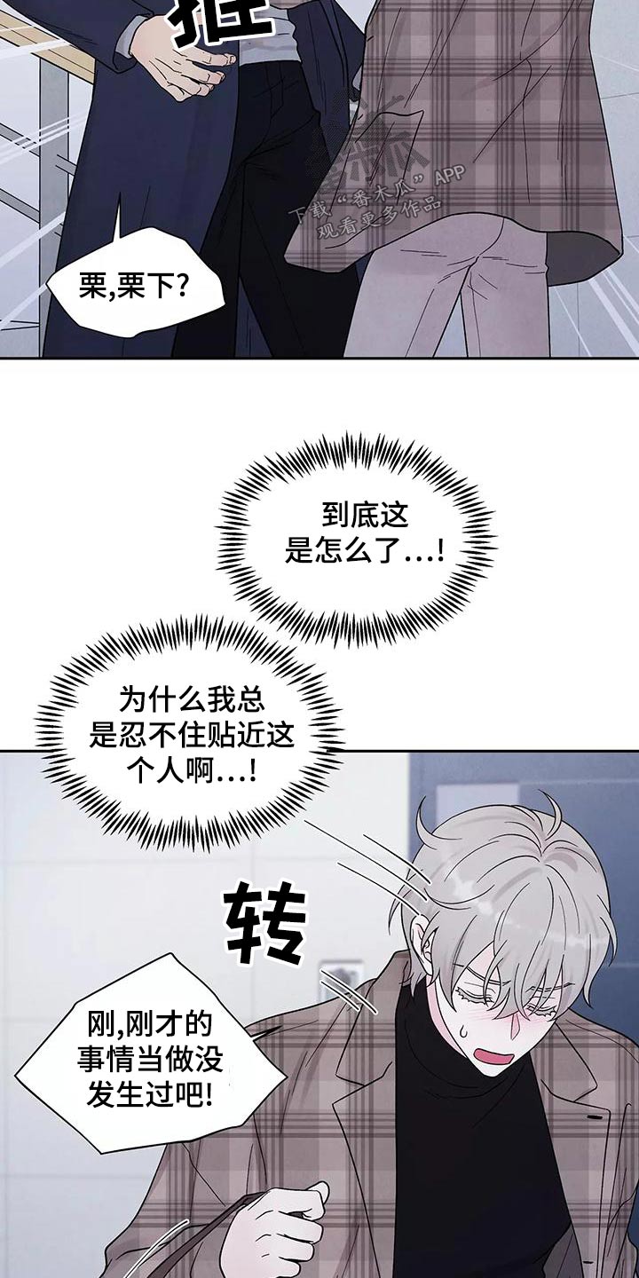 第31章：了结6