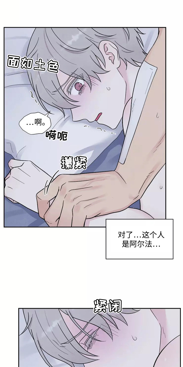 第11章：疼痛16