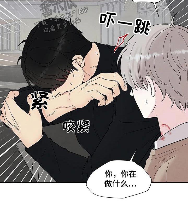 第38章：逃离16
