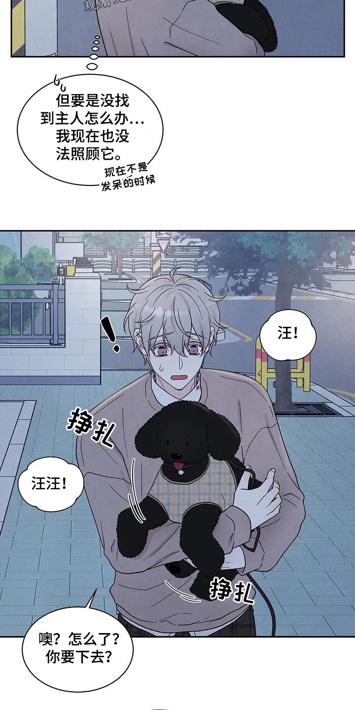 第43章：散步11