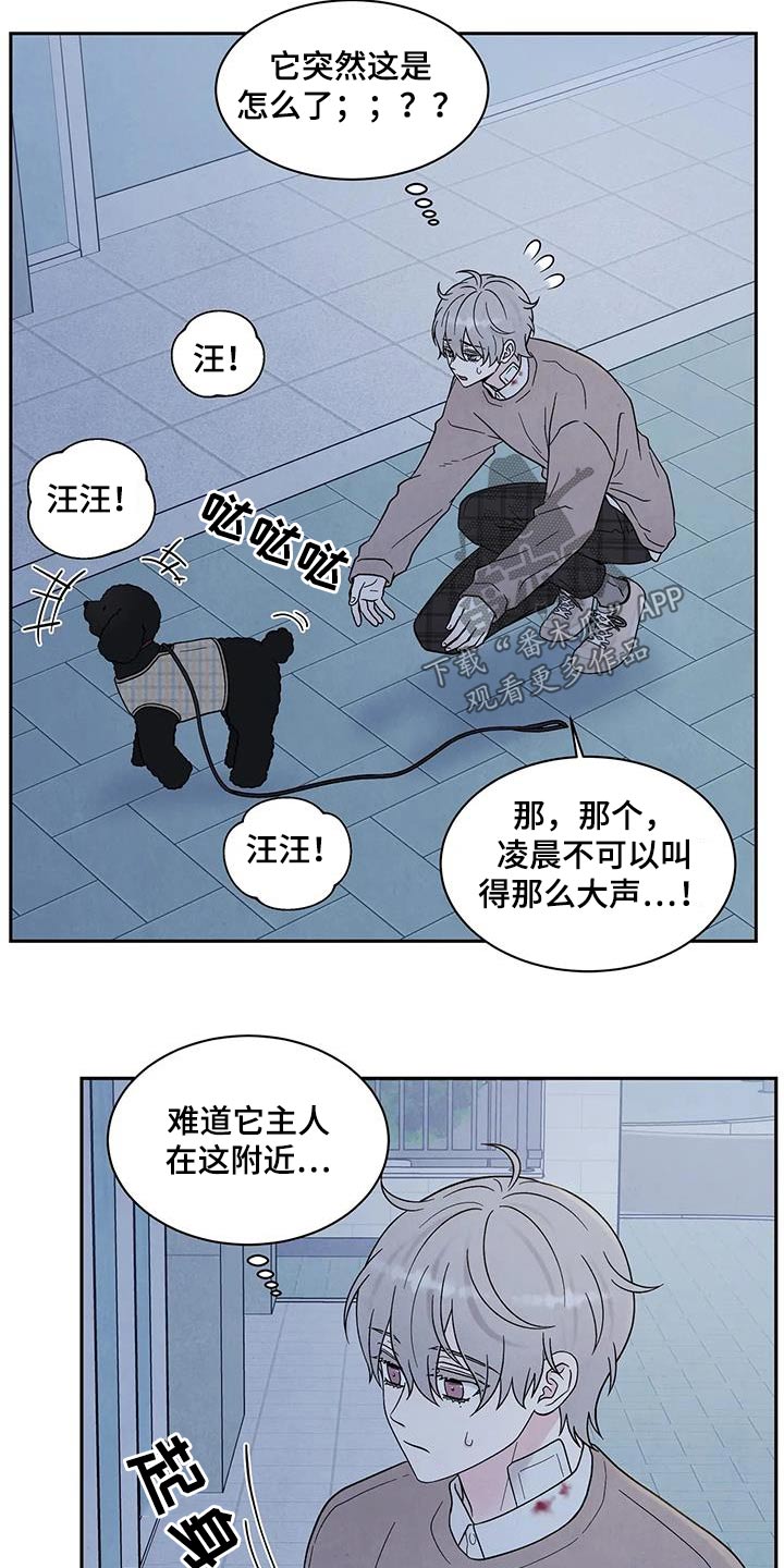 第43章：散步12