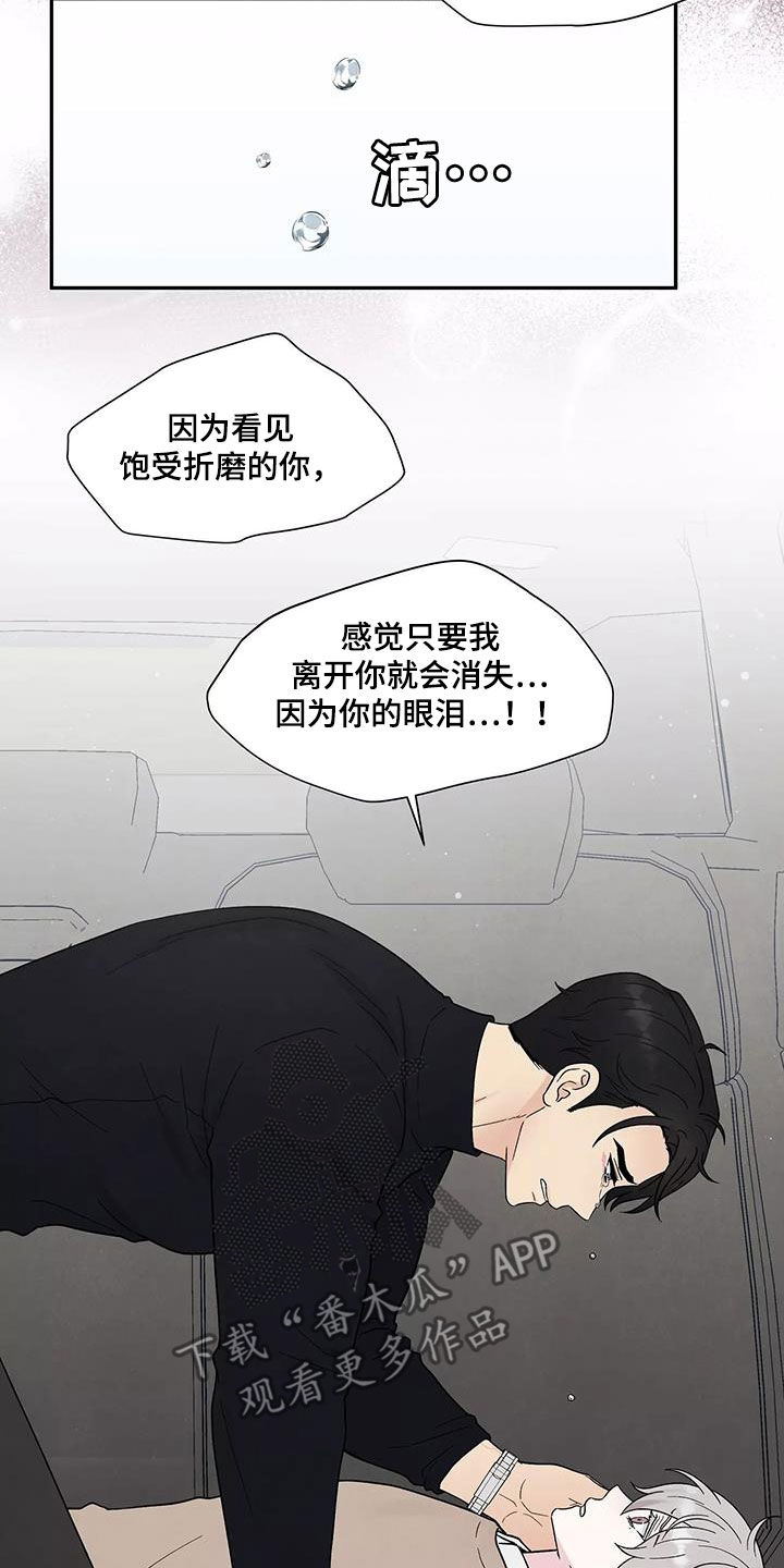 第37章：气味13