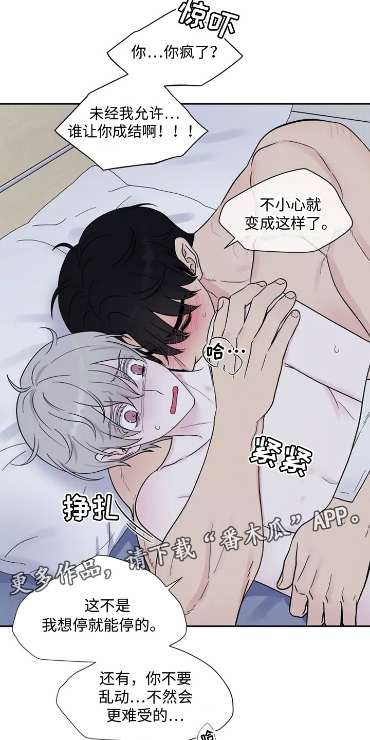 第11章：疼痛11