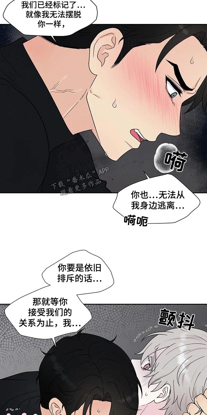 第38章：逃离9