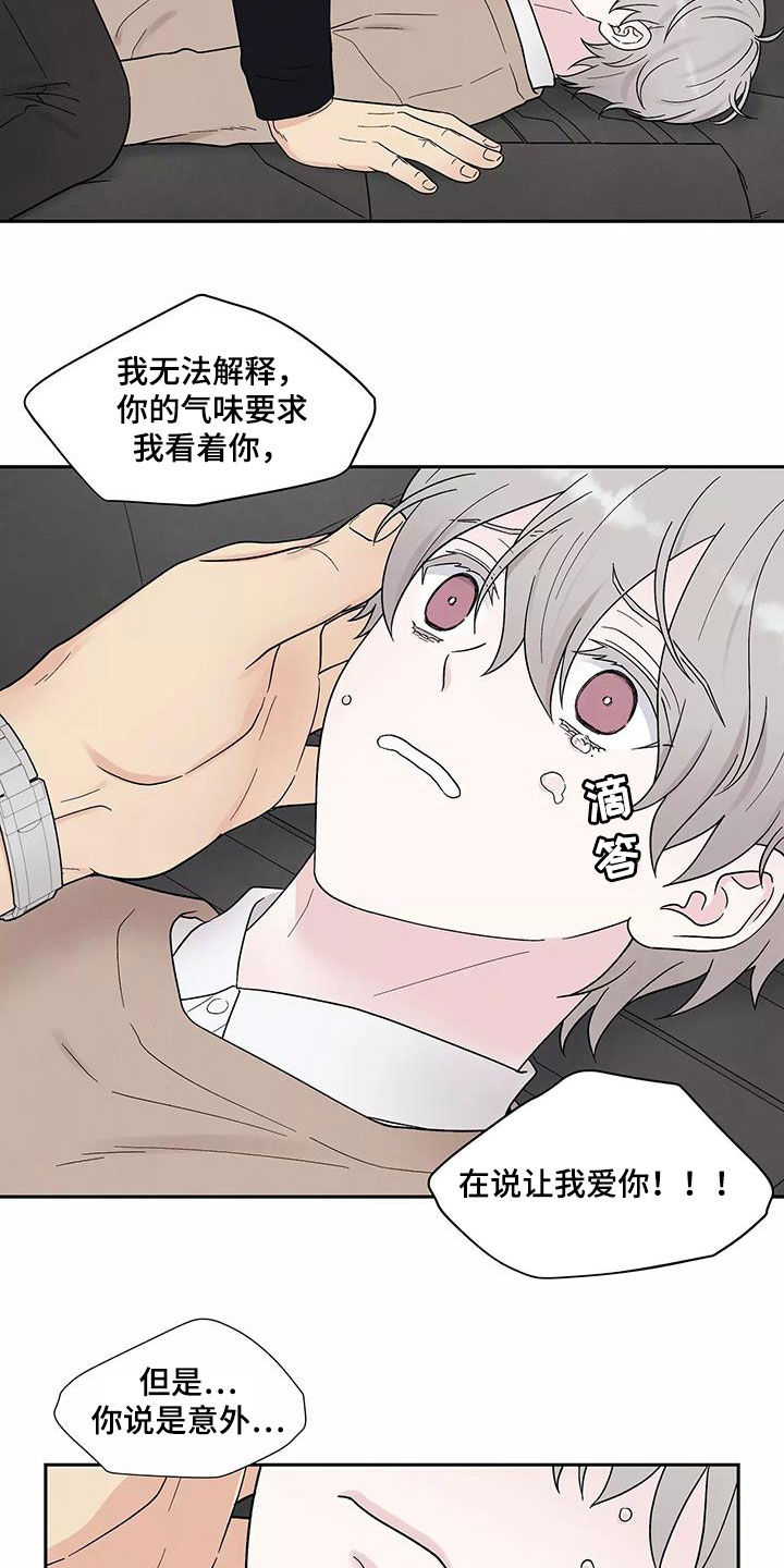 第37章：气味14