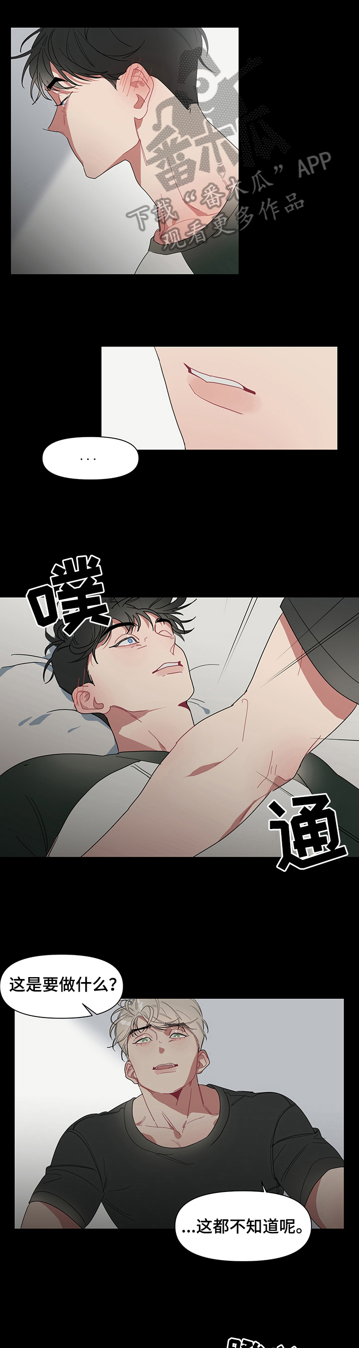 第3章：带刺的玫瑰0