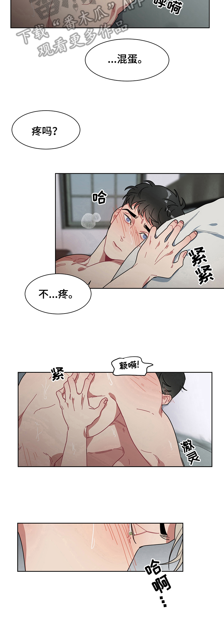 第11章：原谅9