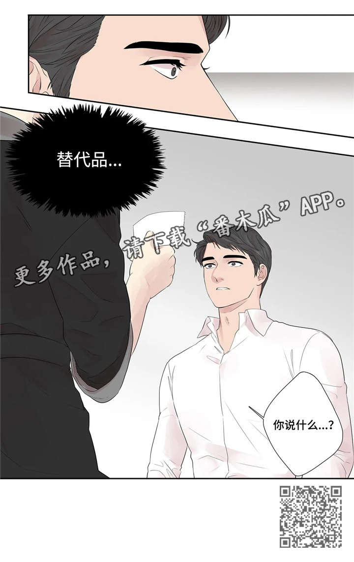 第23章：替代品10