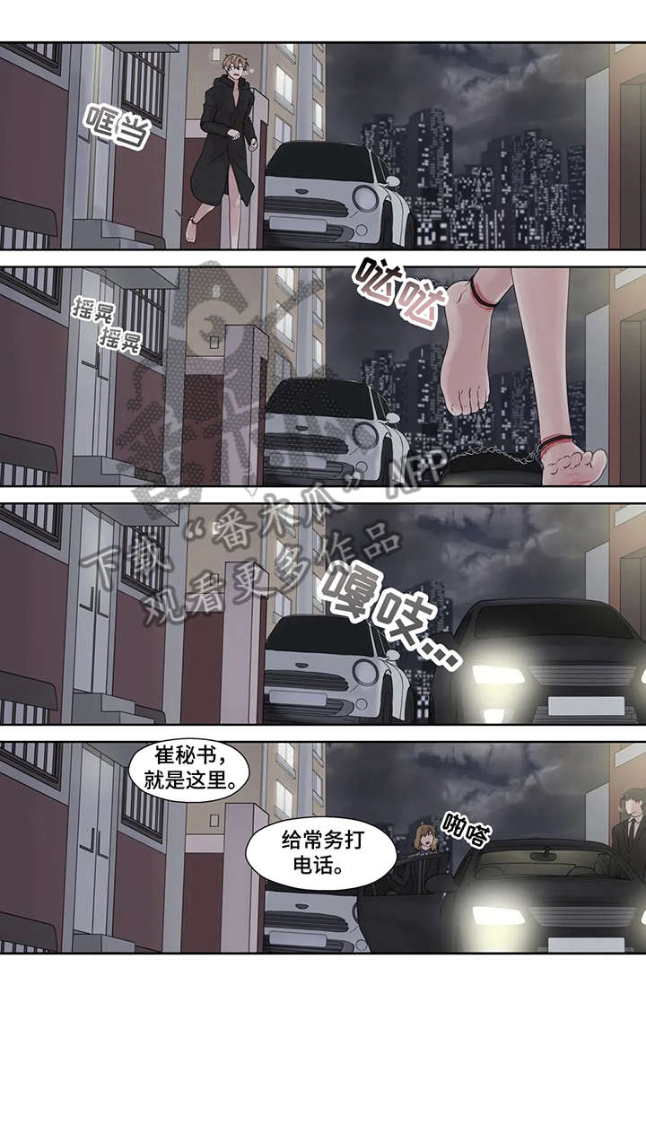 第51章：他不在8