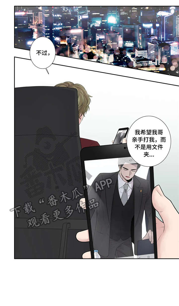 第23章：替代品0