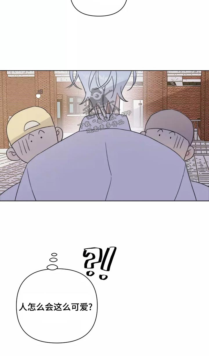 第39章：篮球24