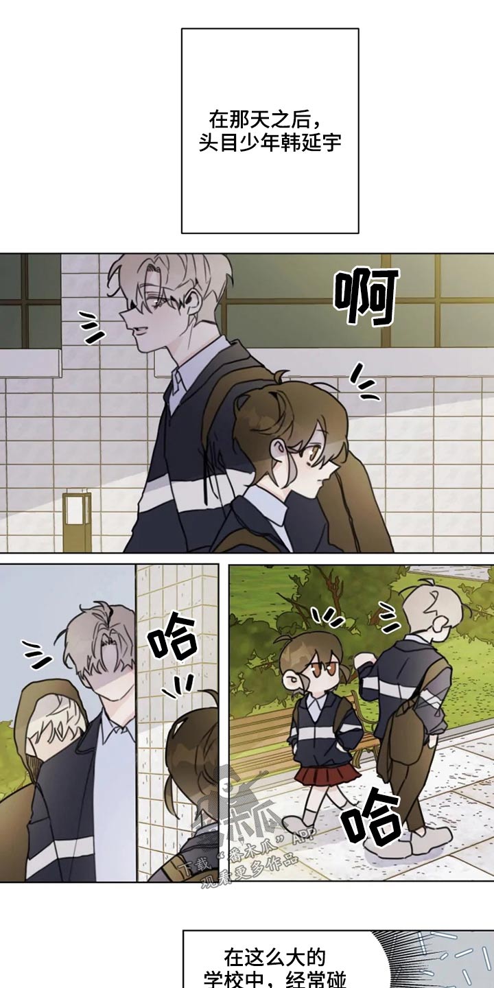 第19章：怎么办10