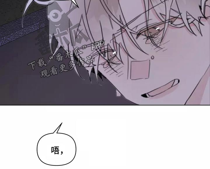 第23章：姐姐14