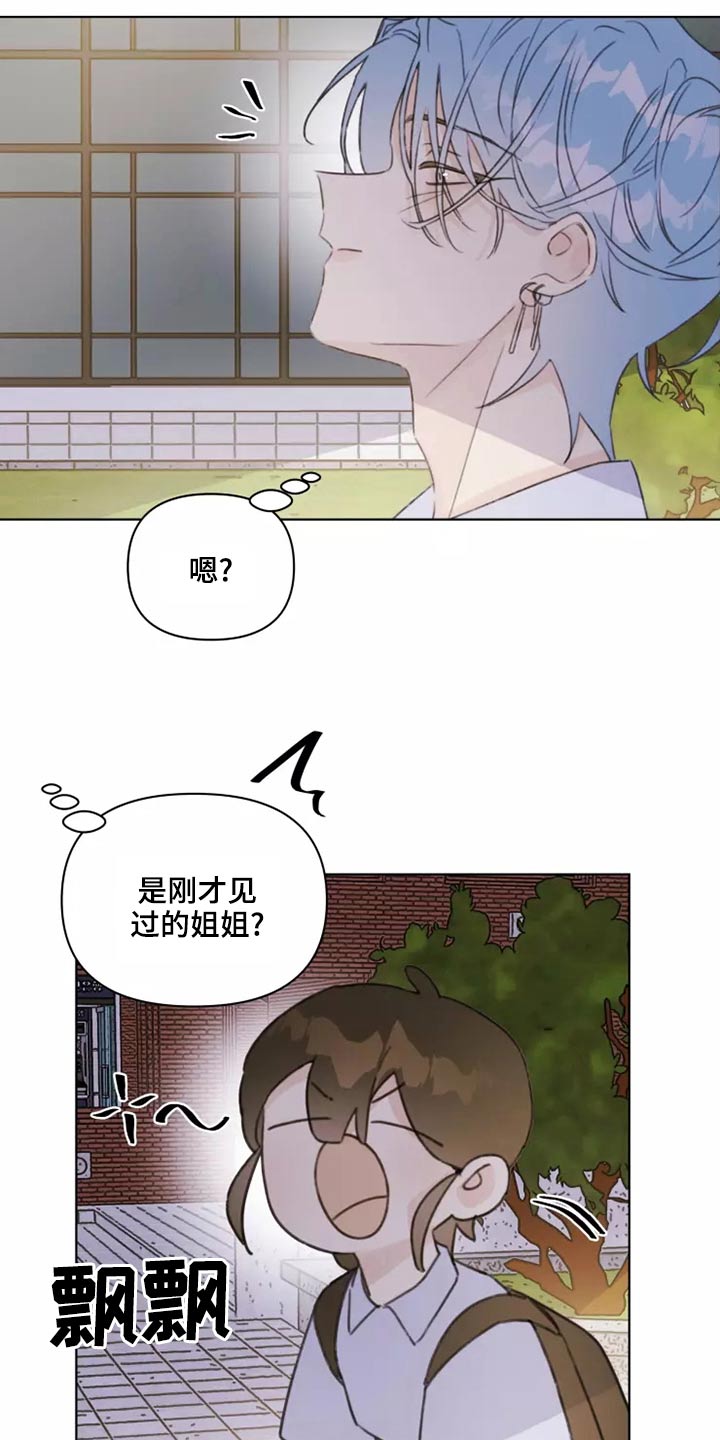 第39章：篮球7