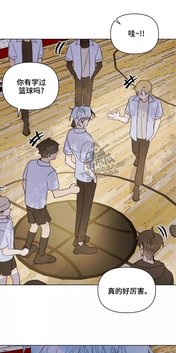 第39章：篮球5