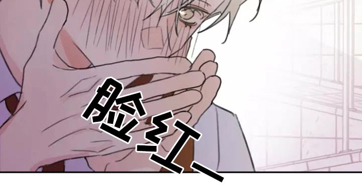 第30章：邻居16