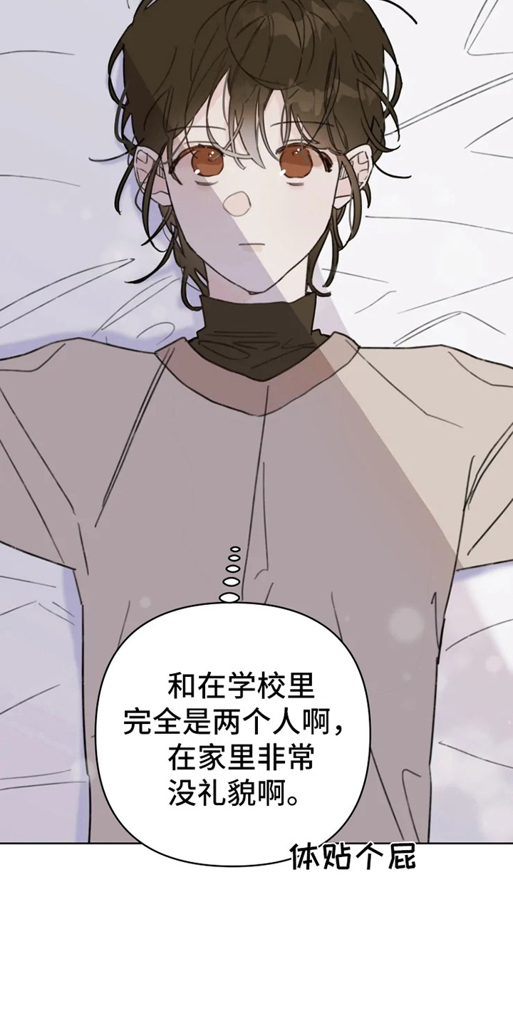 第2章：人气男17