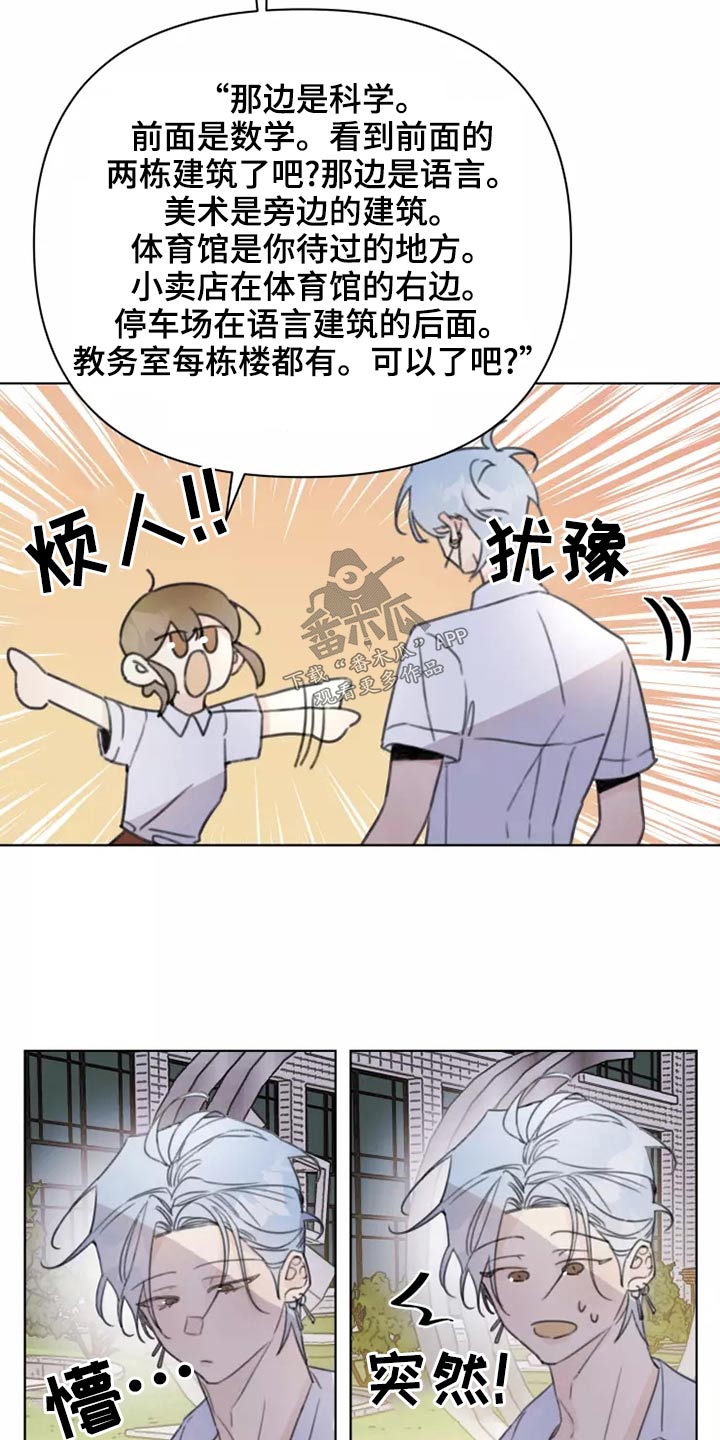 第39章：篮球17