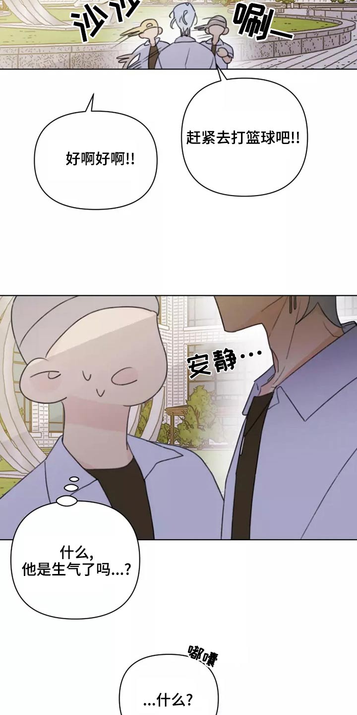 第39章：篮球23