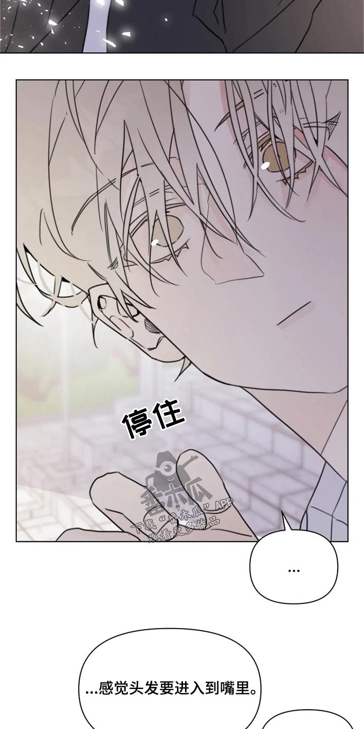 第19章：怎么办7