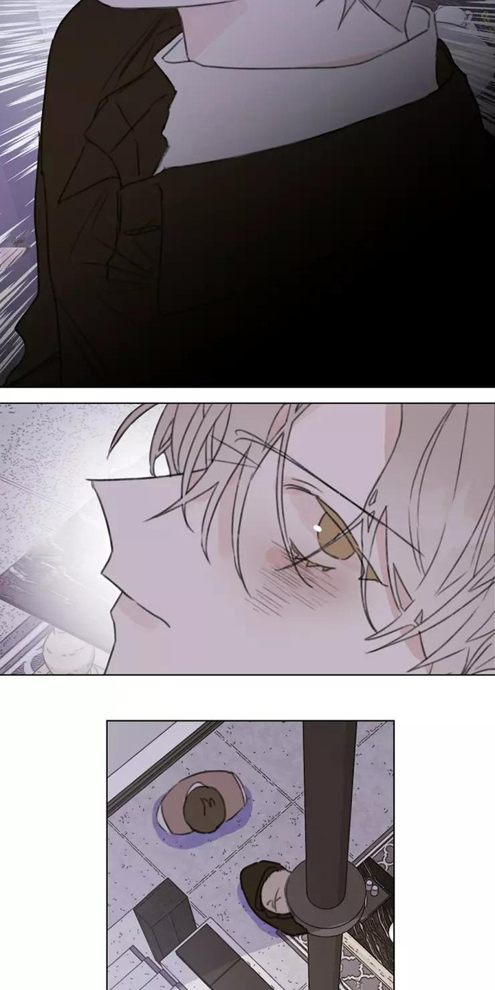 第14章：不知所措17